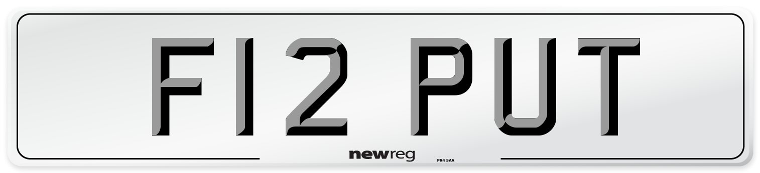 F12 PUT Number Plate from New Reg